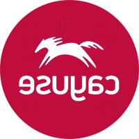 Cayuse Logo